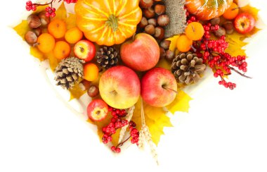 beyaz izole güzel sonbahar kompozisyon