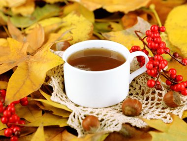 Sarı yaprak zemin üzerine sıcak içecek bir fincan