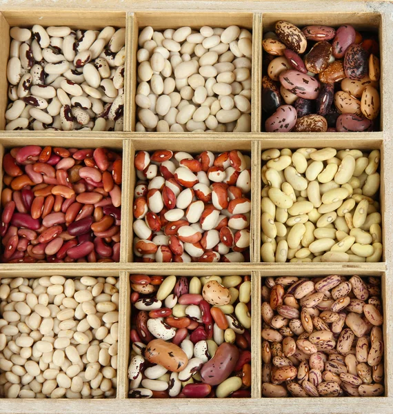 Diversos frijoles en secciones de caja de madera aislados en blanco — Foto de Stock