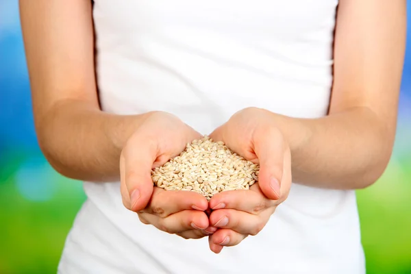 Wheat grain in female hands on natural background — Stock Photo, Image