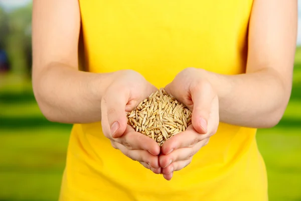 Grano de trigo en manos femeninas sobre fondo natural — Foto de Stock