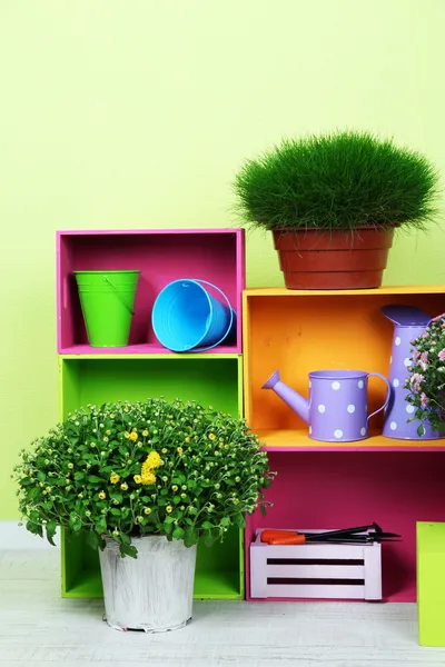 Flowers in pots with color boxes and instruments on wall background — Stock Photo, Image