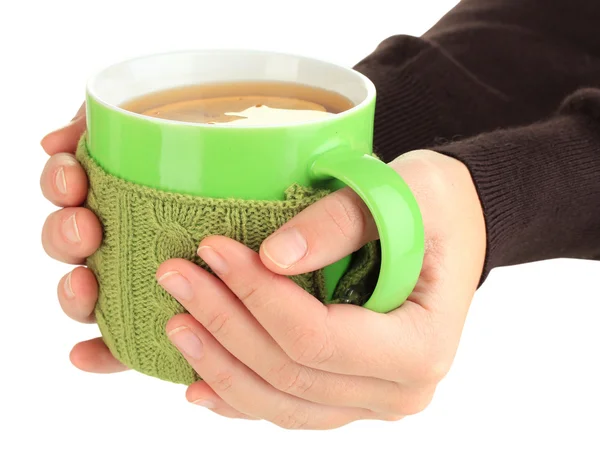 Cup with knitted thing on it in female hands isolated on white — Stock Photo, Image