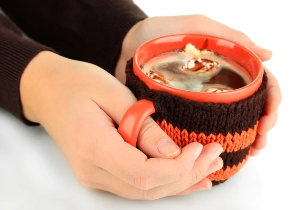 Cup with knitted thing on it in female hands isolated on white