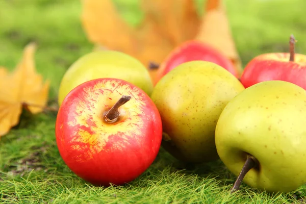 Small apples on nature background — Stock Photo, Image
