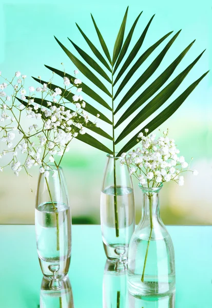 Planten in verschillende glazen containers op natuurlijke achtergrond — Stockfoto