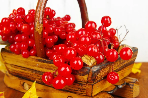 Red berries of viburnum in basket with yellow leaves on table on wooden background — Stock Photo, Image