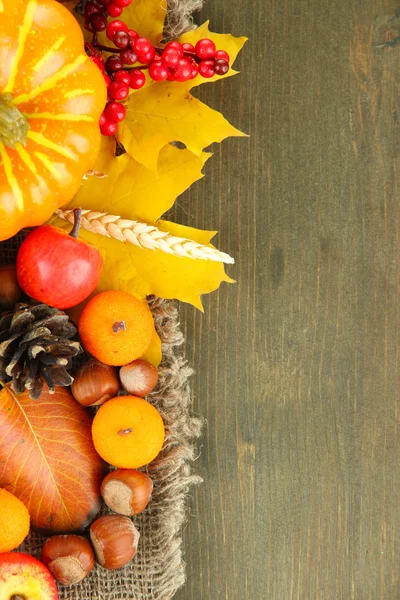 Schöne Herbstkomposition, auf Holzgrund — Stockfoto