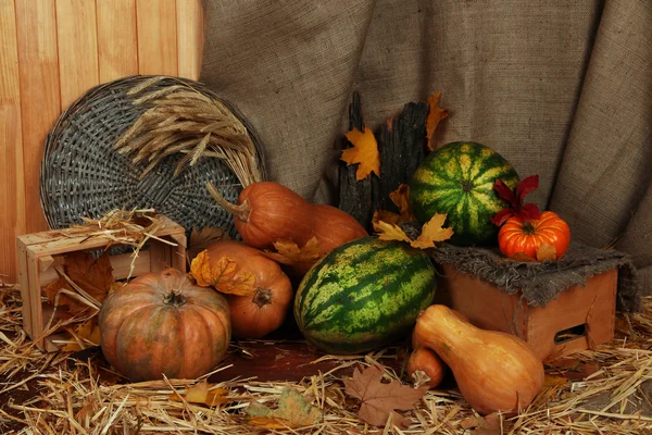 Pumpkins and watermelons with wicker stand and crates on straw on sackcloth background — Stock Photo, Image