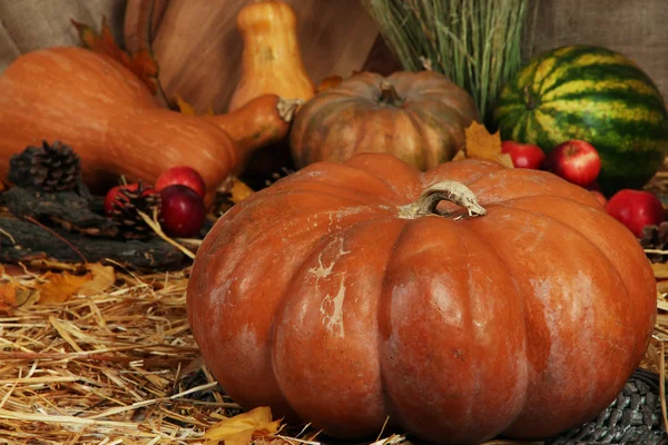 Pumpor och äpplen med vattenmelon på halm på säckväv bakgrund — Stockfoto