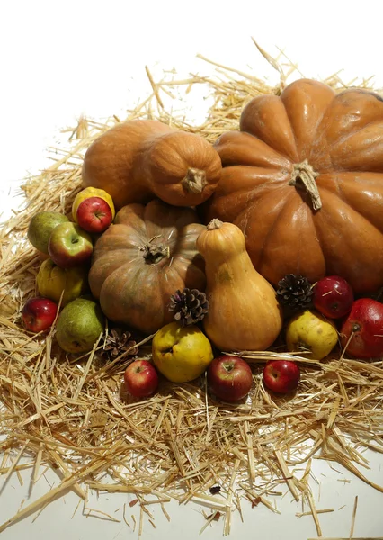 Höstens sammansättning av frukter och pumpor på halm isolerad på vit — Stockfoto