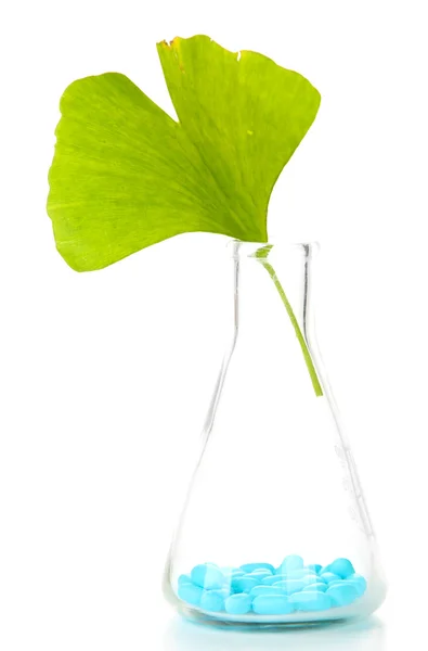 Ginkgo biloba folha e comprimidos em tubo de ensaio, isolado em branco — Fotografia de Stock