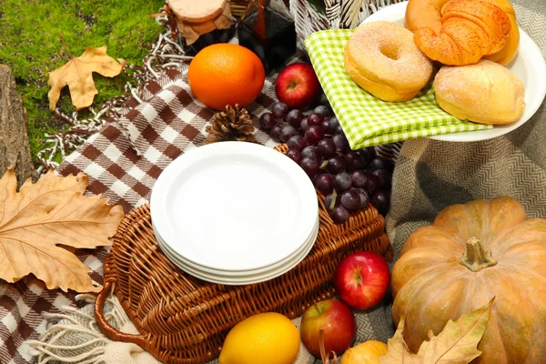 Picnic al aire libre de cerca — Foto de Stock