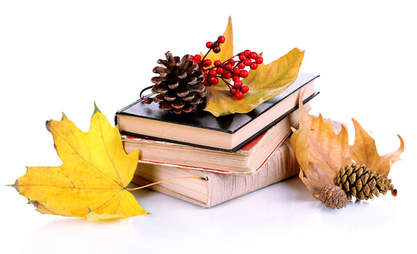 Books and autumn leaves isolated on white