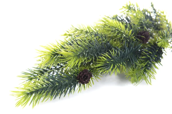 Christmas tree branch geïsoleerd op wit — Stockfoto