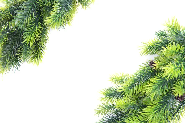 Árbol de Navidad ramas sobre fondo blanco —  Fotos de Stock