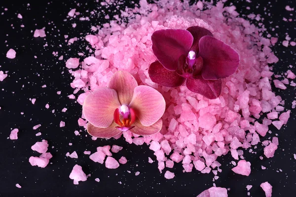 Bela flor de orquídea florescente e montão de sal marinho, isolado em preto — Fotografia de Stock