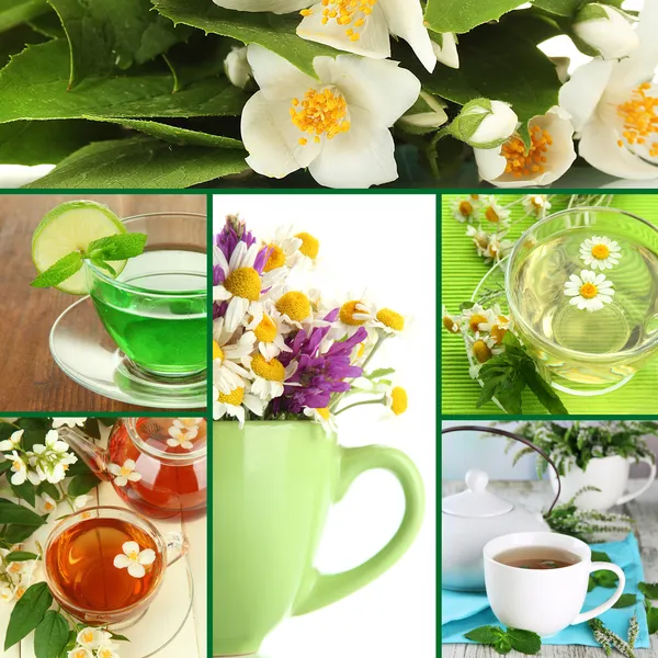 Collage van gezonde groene thee — Stockfoto