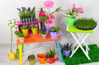 Odada dekoratif elemanları ile güzel renkli raflar