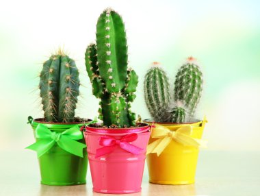 Collection of cactuses in bright pails on wooden table clipart