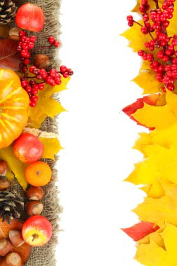 beyaz izole güzel sonbahar kompozisyon