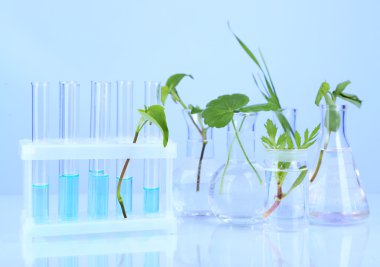 bitkilerde renk arka plan üzerinde test tüpleri