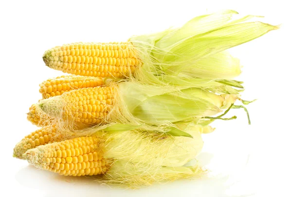 Fresh corn, isolated on white — Stock Photo, Image