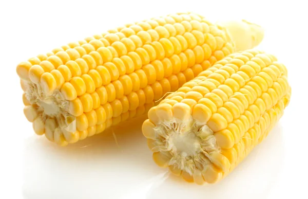 新鲜玉米，孤立在白色 — 图库照片