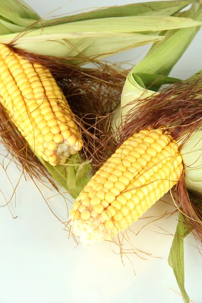 Crude corns isolated on white — Stock Photo, Image