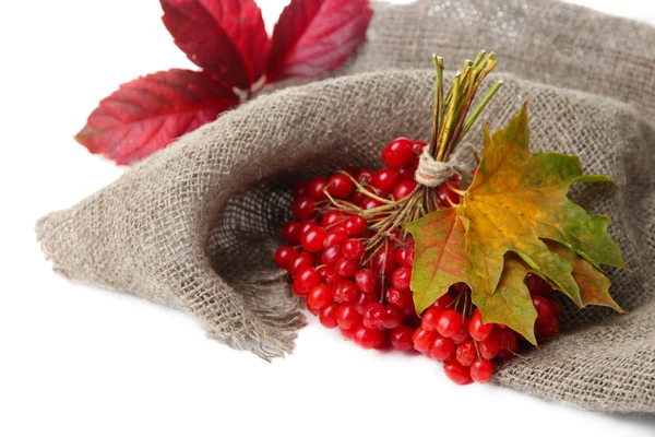 Baies rouges de viorne sur serviette sac, isolées sur blanc — Photo