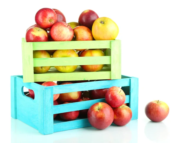 Sappige appels in houten kisten geïsoleerd op wit — Stockfoto