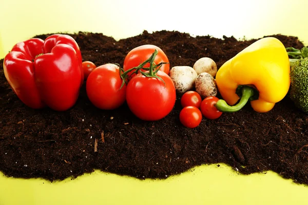 Warzywa na ziemi na kolor tła — Zdjęcie stockowe