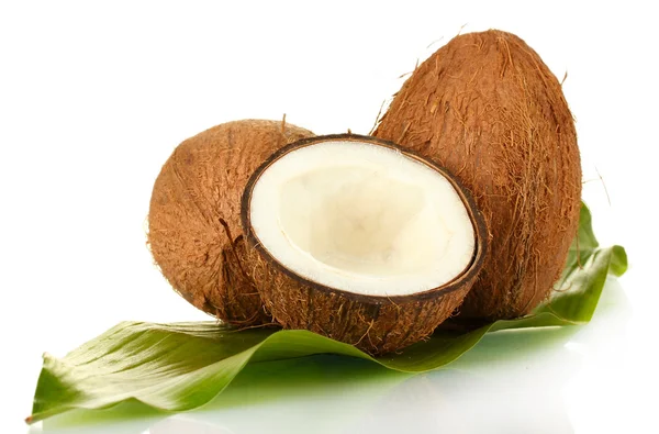 Kokosnötter med grönt blad isolerad på vit bakgrund närbild — Stockfoto