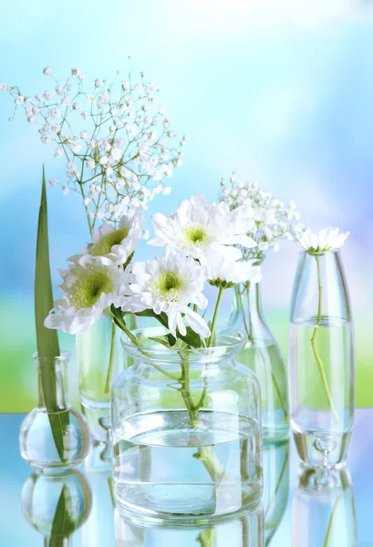 Planten in verschillende glazen containers op natuurlijke achtergrond — Stockfoto