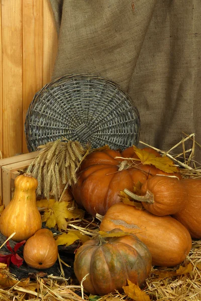 Pumpkins with wicker stand and crate on straw on sackcloth background — Stock Photo, Image