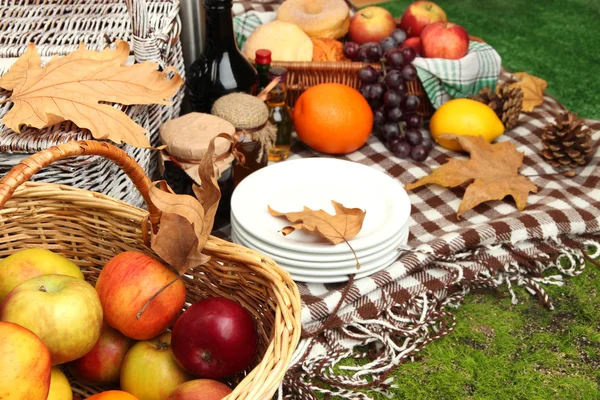 Picnic al aire libre de cerca — Foto de Stock