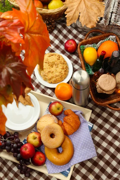 Picnic al aire libre de cerca — Foto de Stock