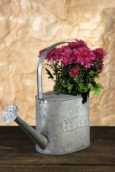 水まき缶木製テーブルの上にピンクの菊の花束 — ストック写真