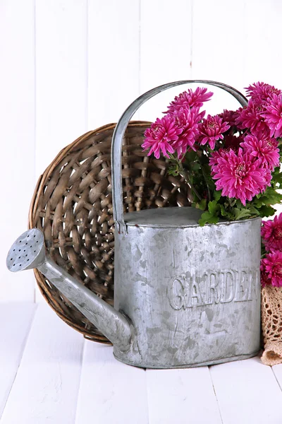 Boeket van roze chrysant in gieter op witte houten achtergrond — Stockfoto