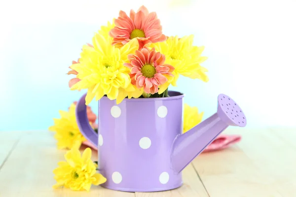Chrysanthemum flowers in watering can on wooden table on natural background — Stock Photo, Image