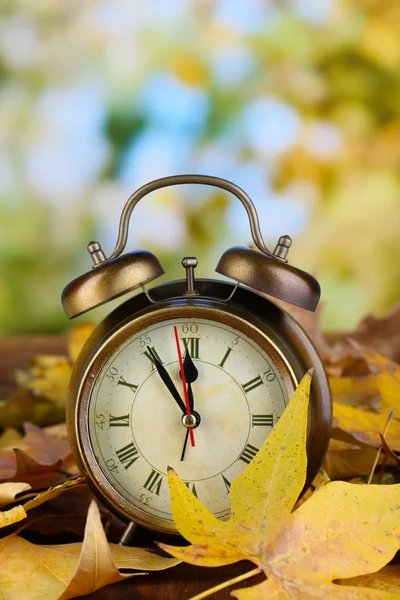 Oude klok op herfst bladeren op natuurlijke achtergrond — Stockfoto
