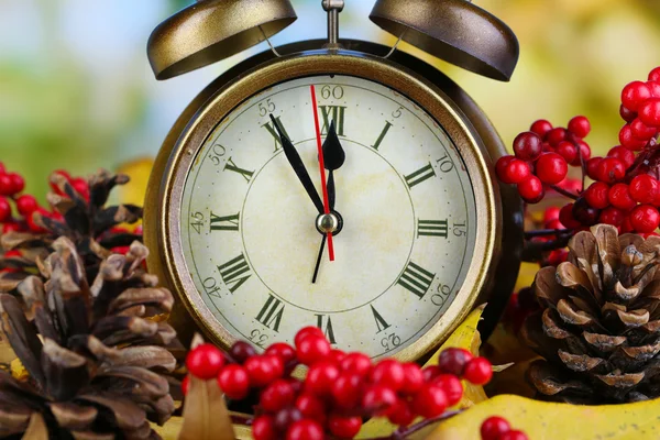 Reloj viejo sobre hojas de otoño sobre fondo natural — Foto de Stock