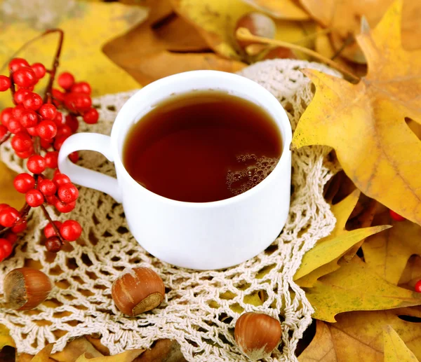 Cup of hot beverage, on yellow leaves background — Stock Photo, Image