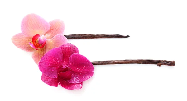 Красиві квіти орхідей і ванільні палички ізольовані на білому — стокове фото