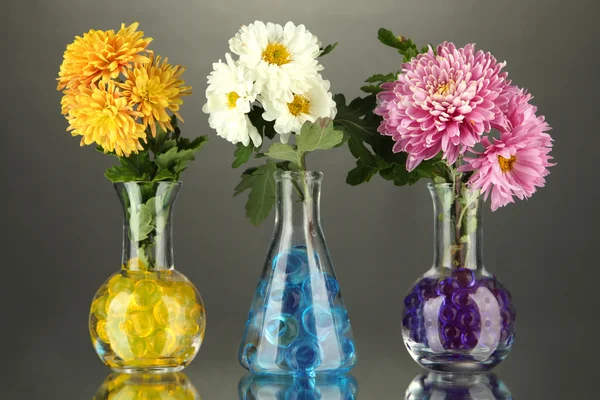 Hermosas flores en jarrones con hidrogel en la mesa sobre fondo gris — Foto de Stock