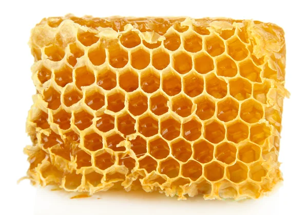 Sweet honeycomb isolated on white Stock Photo