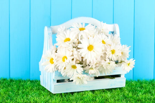 Květiny v dřevěné krabici na trávě na modrém pozadí — Stock fotografie