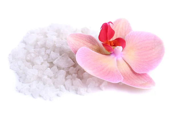 Beautiful blooming orchid flower and heap of sea salt, isolated on white — Stock Photo, Image