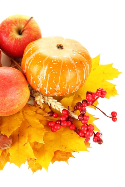 Bella composizione autunnale, isolata su bianco — Foto Stock