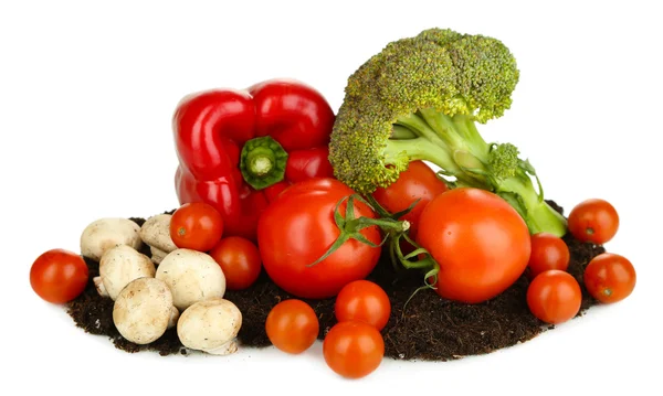 Légumes sur sol isolé sur blanc — Photo